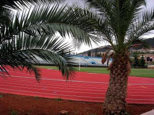 Grand Stade de Tlemcen