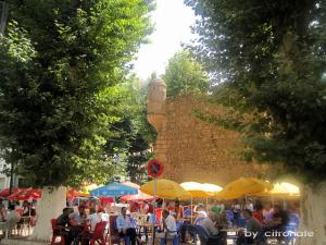 Tlemcen, Café du Méchouar