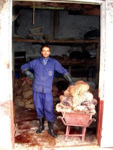 tlemcen, Tanneur de Cuir