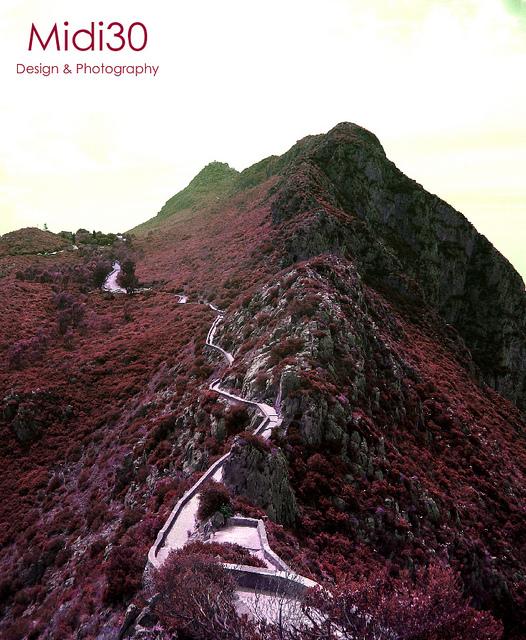 Allée menant à  la table d'orientation (Mont Gouraya)