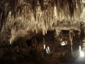 visite a Tlemcen   association les amis de la ville de medea