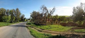 Vieille maison abandonnée