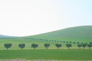 En route pour Tlemcen