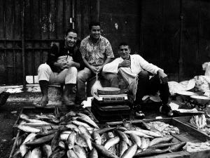 Poissonnier de Tlemcen