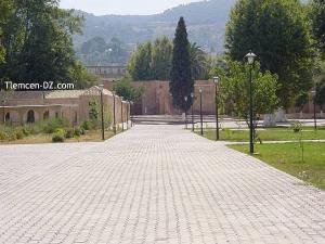 Université de Tlemcen