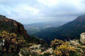 Tlemcen et ses environs