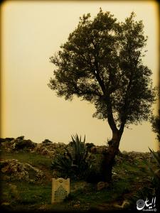 Lala Seti Tlemcen Algérie