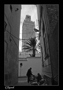 La Grande Mosquée- Tlemcen