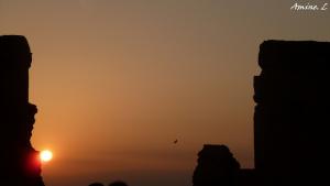 Coucher de Soleil Mansourah Tlemcen