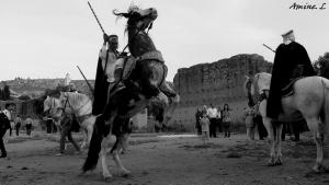 Spectacle de Chevaux Mansourah Tlemcen