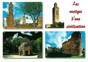 Les Vestiges d'une Civilisation (Tlemcen)