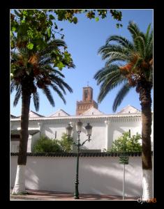 la Grande Mosquée de Tlemcen