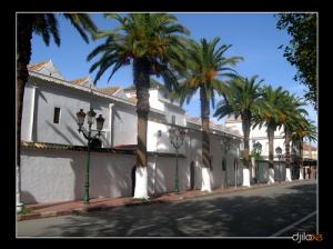 La Grande Mosquée de Tlemcen