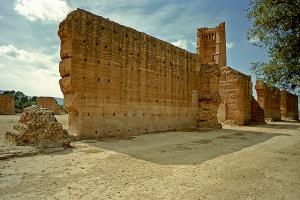 Murs de la Citadelle de Mansourah