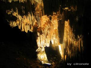 Tlemcen Grotte de  Beni Add
