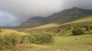 Beni Snous( Tlemcen)