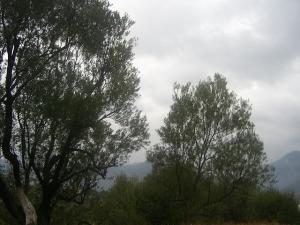 TIGZIRT SUR MER MAKOUDA TIZI OUZOU