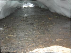 Caverne Glacée du Djurdjura