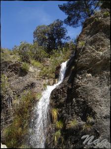 Cascade du Mont Djurdjura