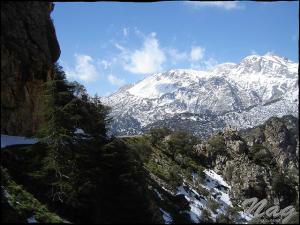 Sommets Enneigés de la Chaîne du Djurdjura