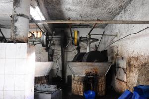 Huilerie, Tizi ouzou