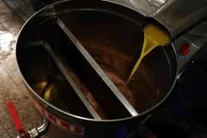 Huile d'Olive de Tizi ouzou