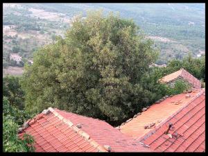 Maison Traditionnelle de Tizi ouzou