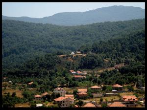 Mausolée de Djedi Idir (Yakouren)