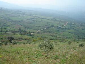 Pâturages près des Montagnes Djurdjura