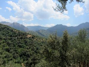 Paysage de Tizi ouzou