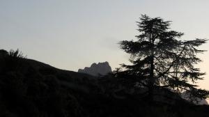 Ongles de la mains du juif