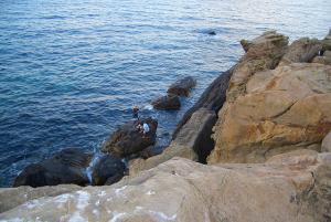 SIDI KHALED IFLISSEN