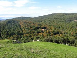 Paysage de Yakouren(Tamgout)