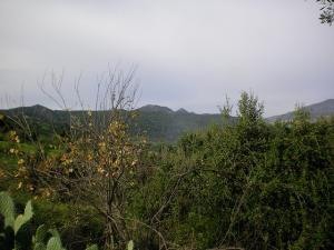 Paysage d'Automne à  Begoub - Yakouren