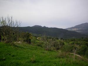 Paysage d'automne à  Begoub - Yakouren