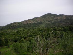 Paysage d'automne à Begoub - Yakouren
