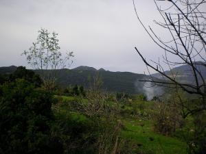 Paysage d'Automne à  Begoub - Yakouren
