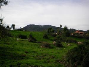 Paysage d'automne à  Begoub - Yakouren