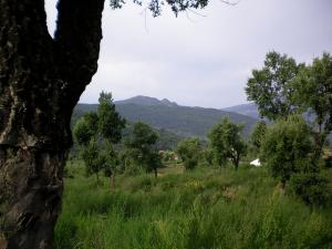 Begoub du coté de Yakouren