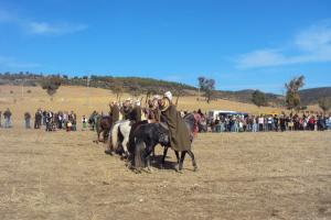 le 1er festival nle du tourisme équestre tiaret du 1 novembre au 4 novembre 2011