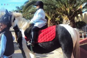 le 1er festival nle du tourisme équestre tiaret du 1 novembre au 4 novembre 2011