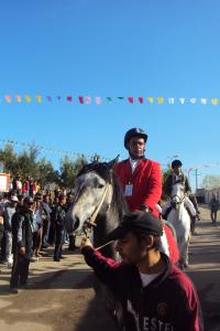 le 1er festival nle du tourisme équestre tiaret du 1 novembre au 4 novembre 2011