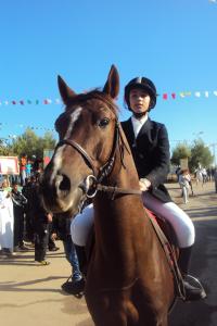 le 1er festival nle du tourisme équestre tiaret du 1 novembre au 4 novembre 2011