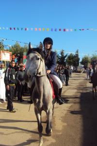 le 1er festival nle du tourisme équestre tiaret du 1 novembre au 4 novembre 2011