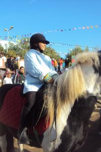 le 1er festival nle du tourisme équestre tiaret du 1 novembre au 4 novembre 2011