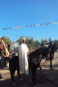 le 1er festival nle du tourisme équestre tiaret du 1 novembre au 4 novembre 2011