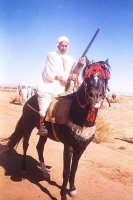 cavalier d'AFLOU sur son Cheval  le Barbe Djebel Amour