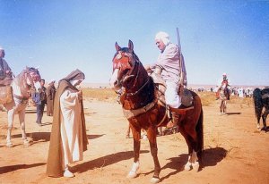cavalier d'AFLOU sur son Cheval Barbe