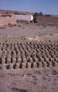 Briques en Terre Pour Construction