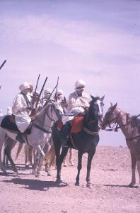Fête Traditionnelle au Son du Baroud